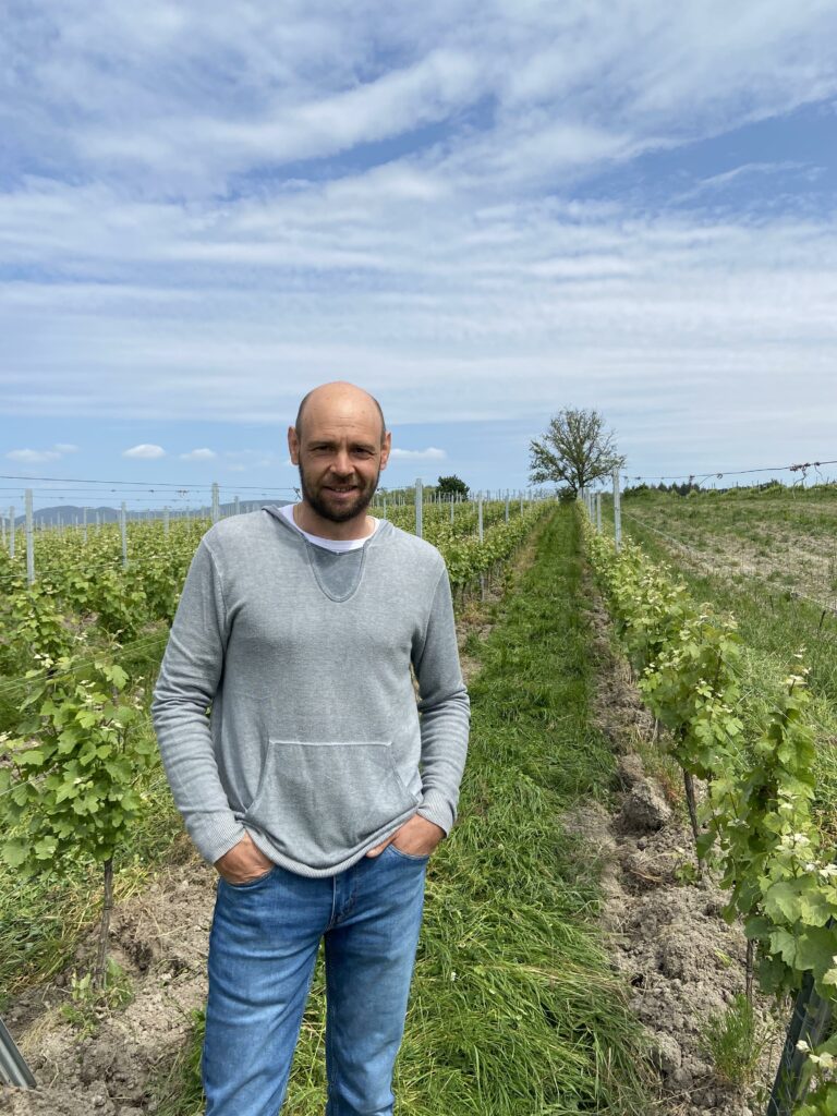Read more about the article Domaine Bader : Return to the Vineyard – Harvest 2023