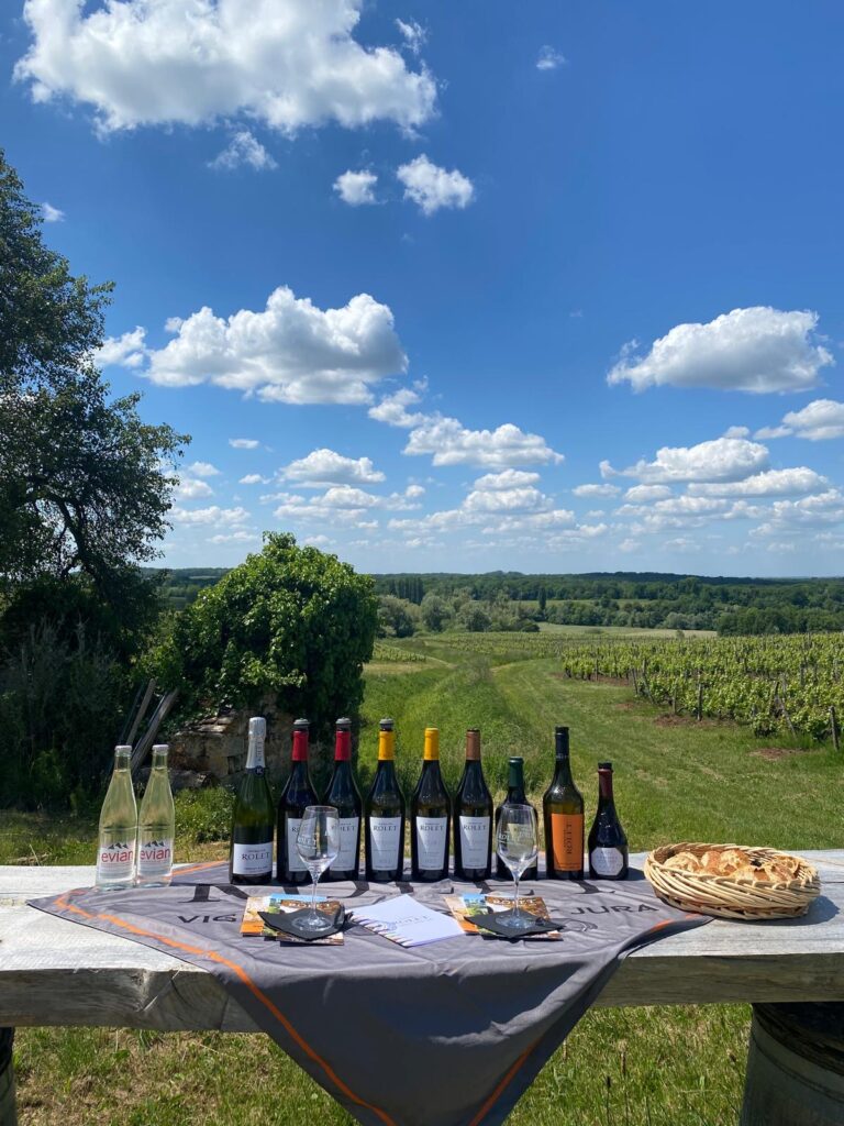 Read more about the article Spring 2025 at Domaine Rolet