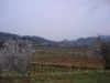 Saint Jean du Barroux
