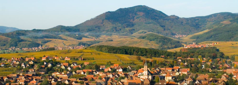 Lire la suite à propos de l’article Présentation du Domaine Bader – Alsace