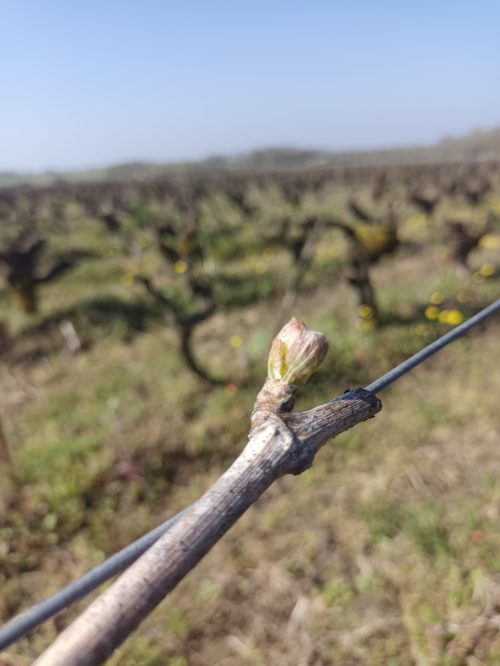 Domaine batard langelier