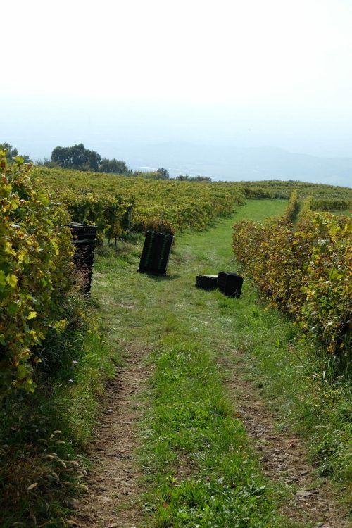 D6B86AB7-05EB-4BCA-9CD4-9C45E7F12A92-38449-000004F099A02665