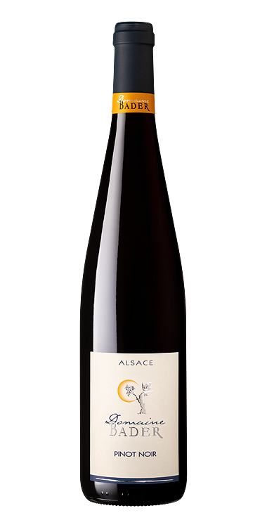 domaine-bader-pinot-noir.png domaine-bader-pinot-noir.png