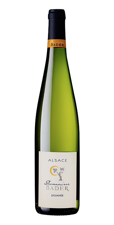 domaine-bader-sylvaner.png domaine-bader-sylvaner.png