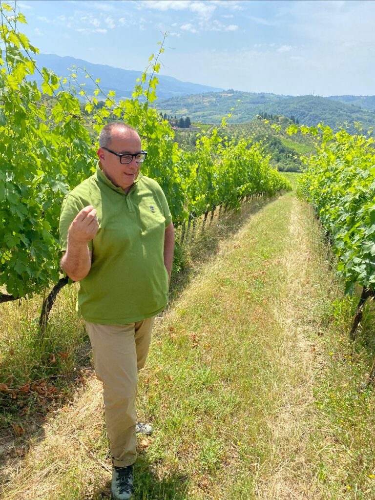 Read more about the article Selvapiana Video Tour: Erchi & Bucerchiale Cru vineyards