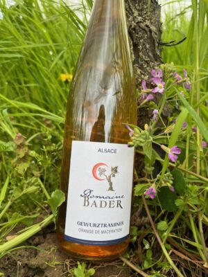 Read more about the article Start of the Growing Season 2024 – Domaine Bader