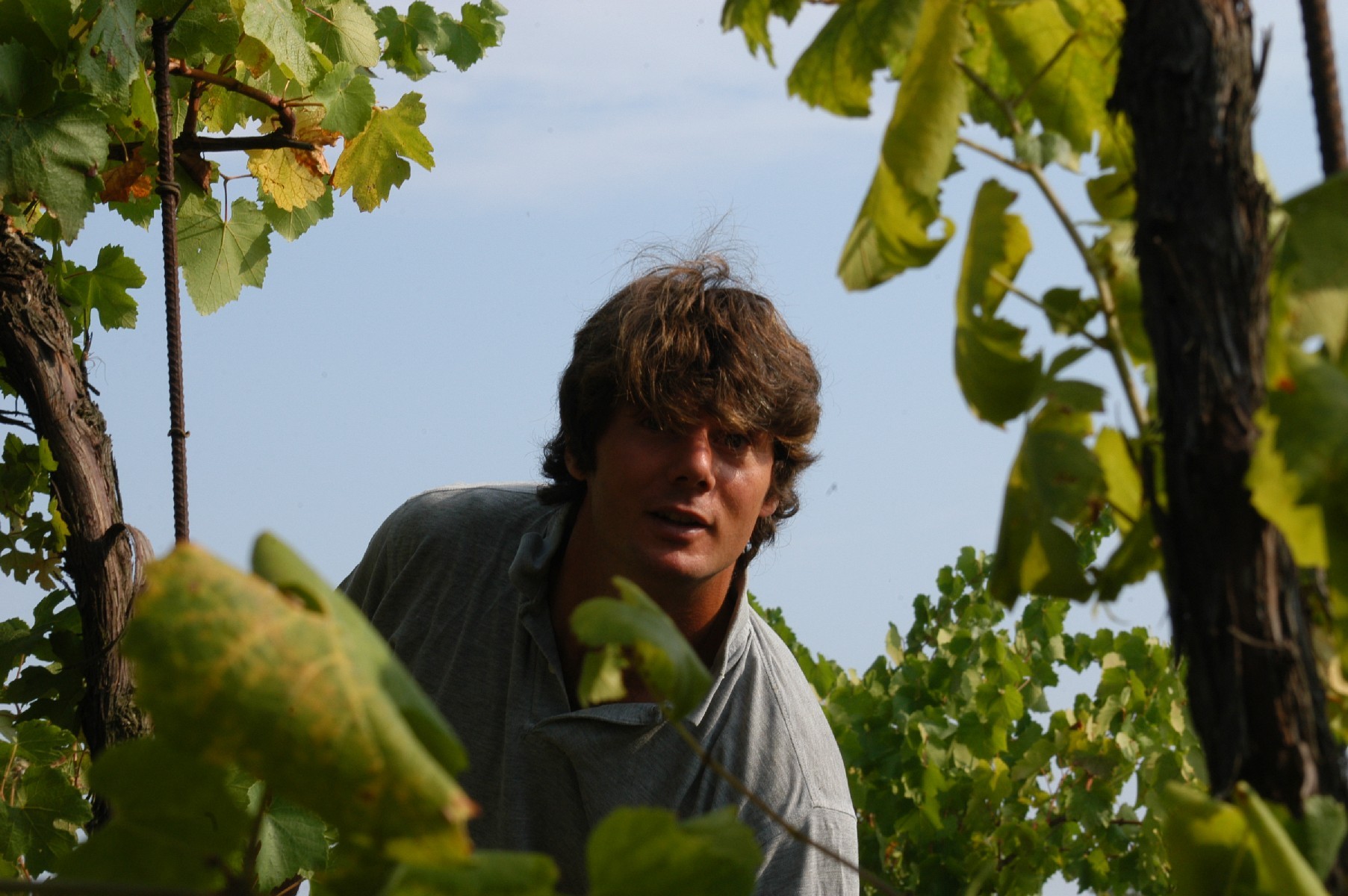 Tenuta Grillo - Piedmont • Genuine Wines