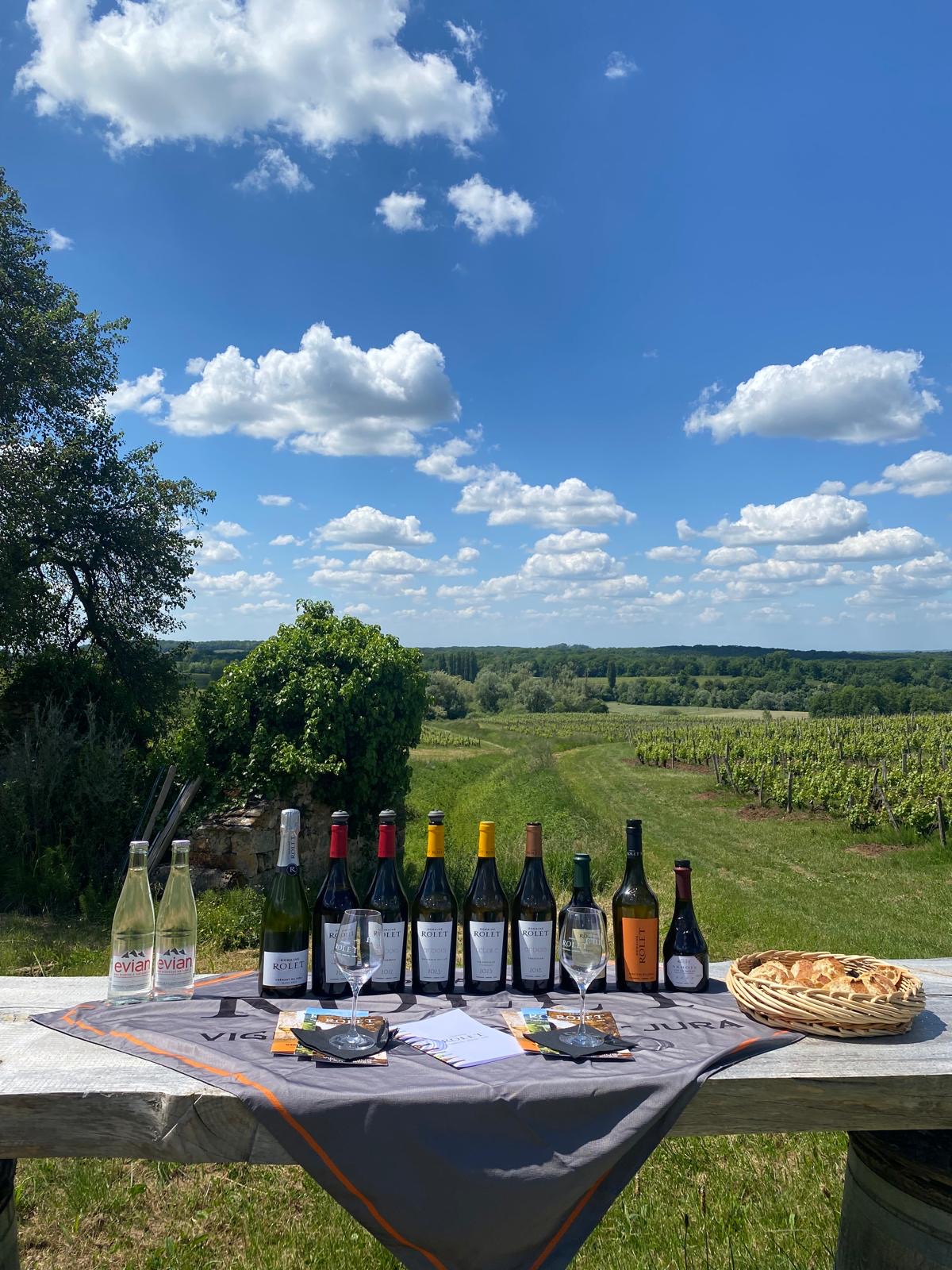 gamme de vin dans les vignes gamme de vin dans les vignes