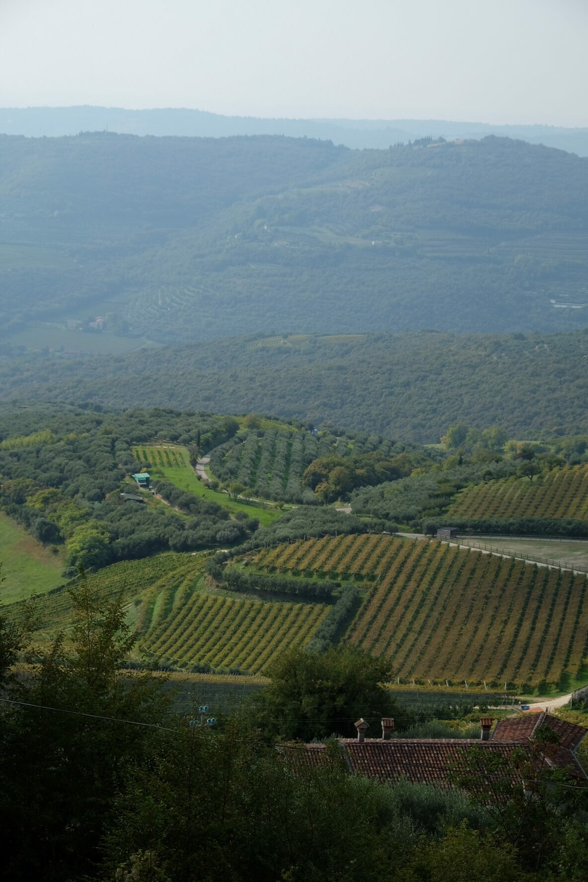 71D15A54-32EE-452E-A412-39571BFE8F84-38449-000004F0F2F3D1E1