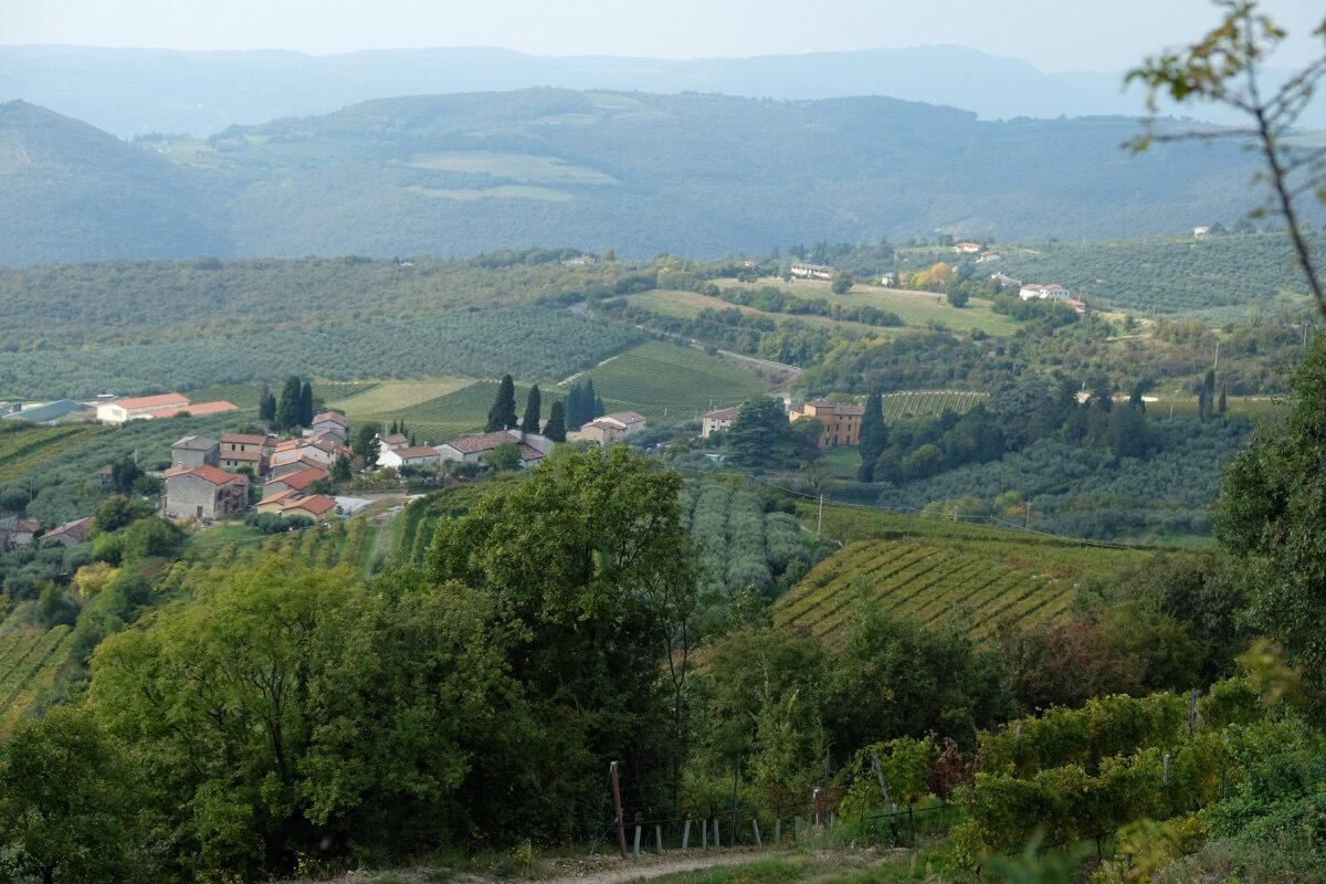 f50646a3-1ff1-8267-a052-463380c009e7