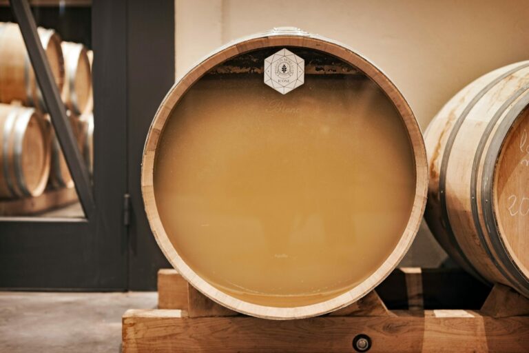 Lire la suite à propos de l’article Nouvelle AOC Médoc blanc – partie 2